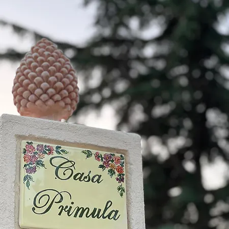 Dimora Primula - Family A 3 Chilometri Dal Mare *